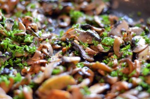 Nekoliko vrsta gljiva 2